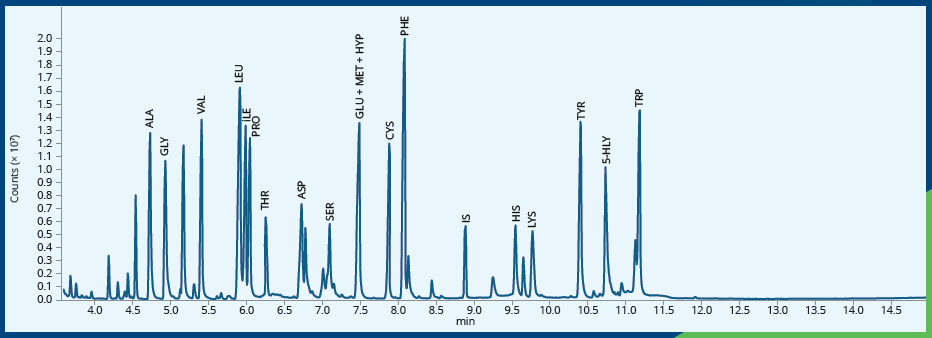 Chromatogram roztworu standardowego GCMS